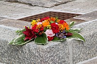 20170615_090333.jpg