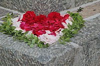 20170615_090338.jpg