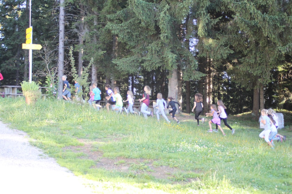 20170731_071742.jpg
