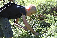 20170731_103933.jpg