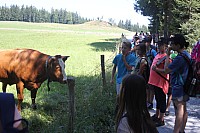 20170801_111555.jpg