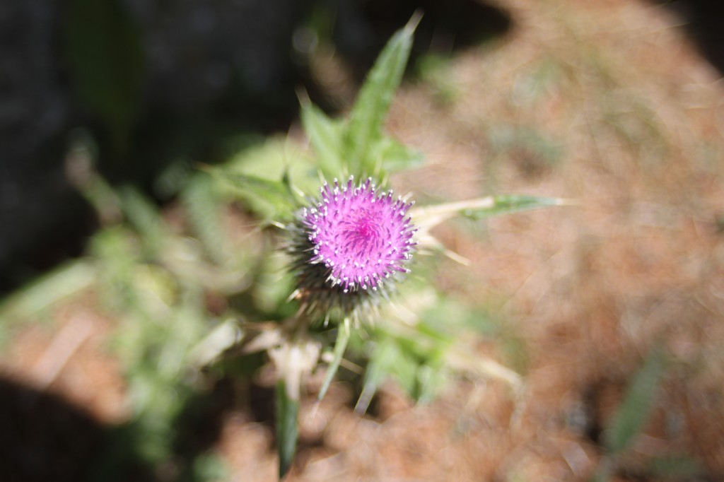 20170804_110959.jpg