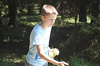 20170804_113502_02.jpg