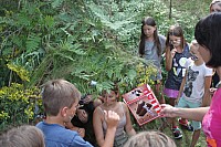 20170804_160542.jpg