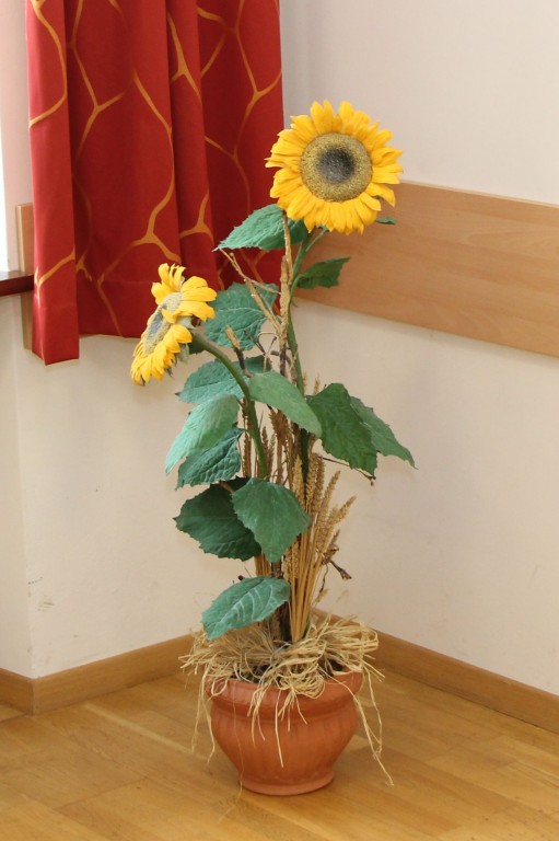 20170924_090913.jpg