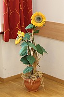 20170924_090913.jpg