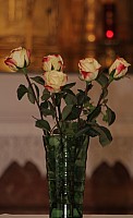 20170924_090930.jpg