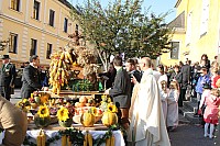 20171001_092659.jpg