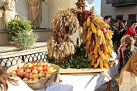 20171001_093415.jpg