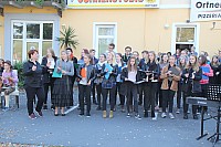 20171001_111716.jpg