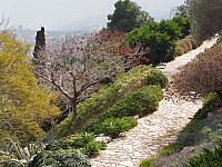 20180218_101630.jpg