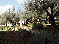 20180222_111457.jpg