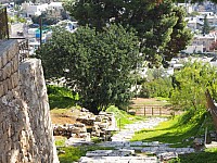 20180224_093040.jpg