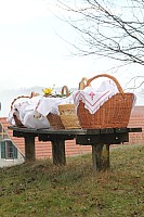 20180331_082440.jpg