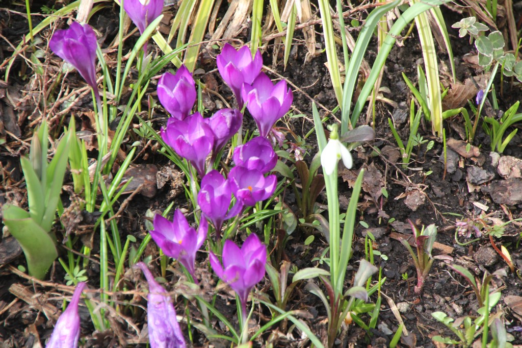 20180401_100847.jpg