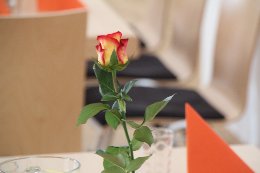 20180422_104903.jpg