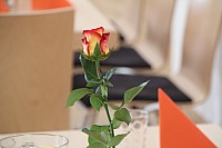 20180422_104903.jpg