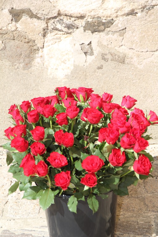 20180513_100508.jpg
