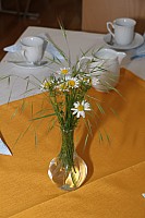 20180513_084556.jpg