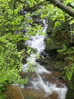 20180521_092719.jpg
