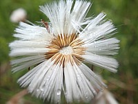 20180521_095444.jpg