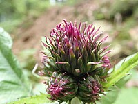 20180521_131358.jpg