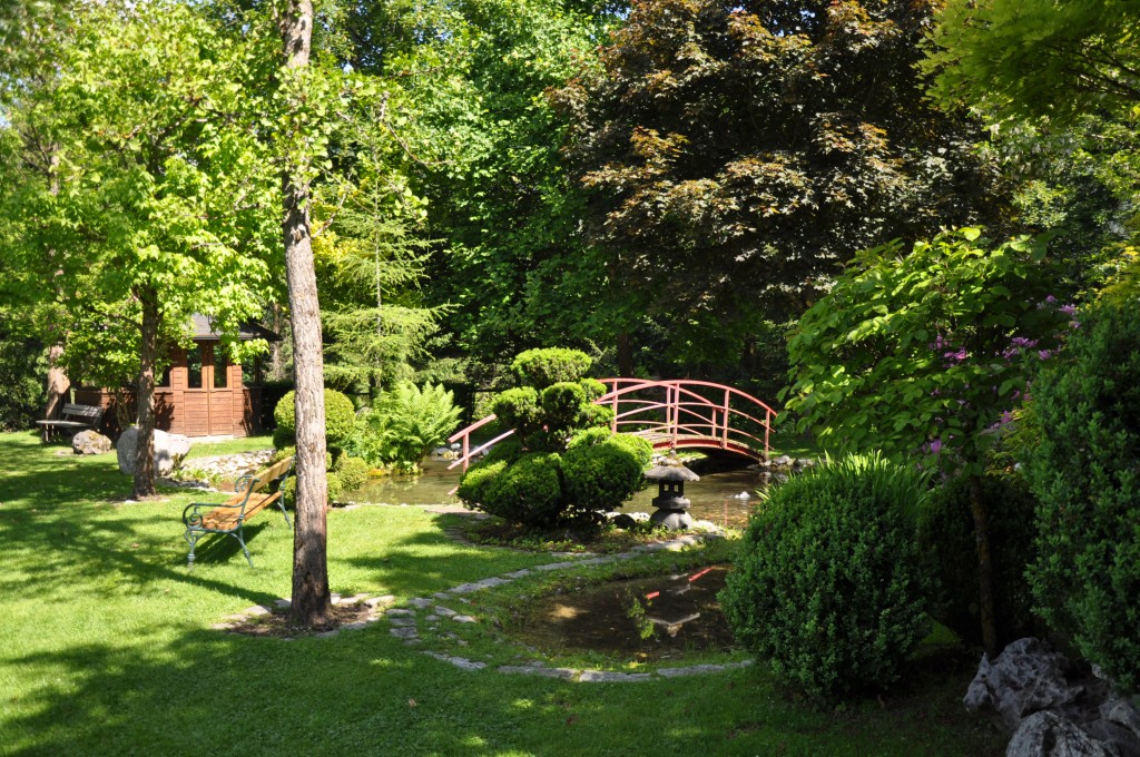 20180526_103818.jpg