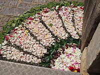 20180531_100019.jpg