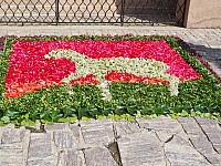 20180531_100036.jpg