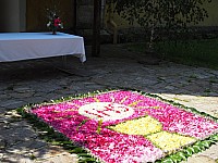 20180531_100207.jpg