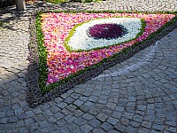 20180531_101430.jpg