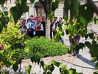 20180531_101812.jpg