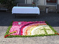 20180531_102432.jpg