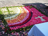 20180531_103320.jpg
