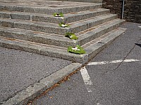 20180531_103825.jpg
