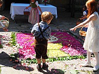 20180531_103943.jpg