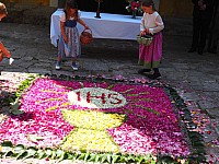 20180531_104001.jpg