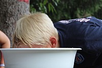 20180821_150155.jpg