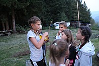20180821_201535.jpg