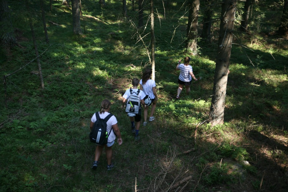 20180823_103129.jpg