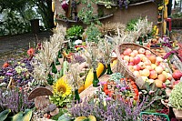 20181007_094101.jpg