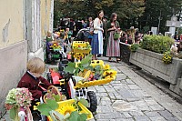 20181007_105605.jpg
