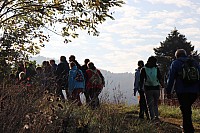 20181026_093237.jpg