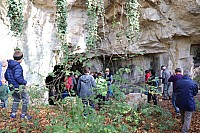 20181026_093905.jpg