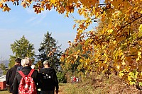 20181026_100338.jpg