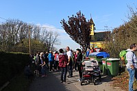 20181026_103127.jpg