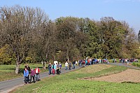 20181026_105331.jpg
