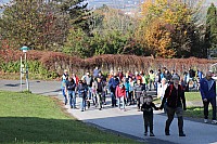20181026_105704.jpg