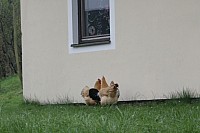 20190414_095237.jpg