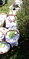 20190420_110022.jpg